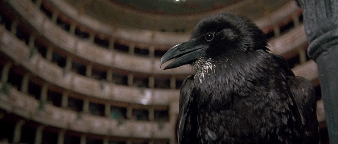 Opera (1987) movie still: closeup — An ornate interior of a multi-tiered balcony structure in a grand opera house. A large black raven perches in…