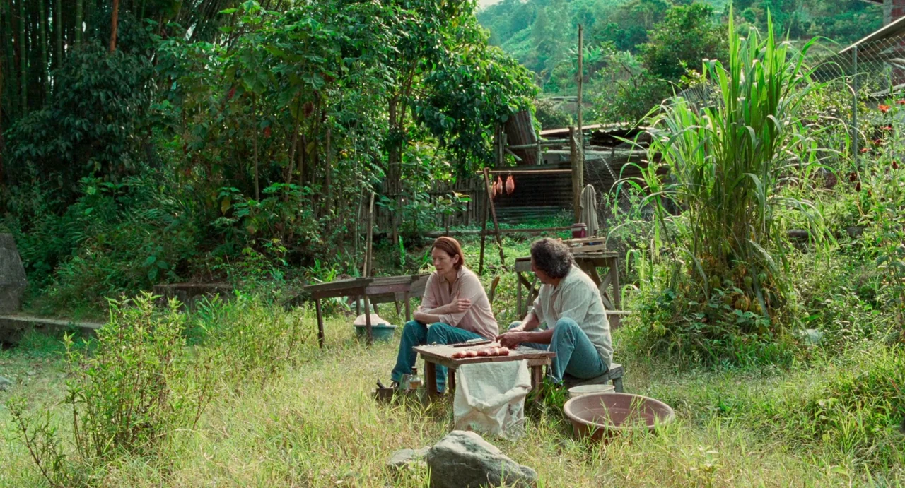 Memoria (2021) movie still: wide — A rural outdoor area features overgrown grass, bamboo stalks, and rustic wooden structures. Two people sit…