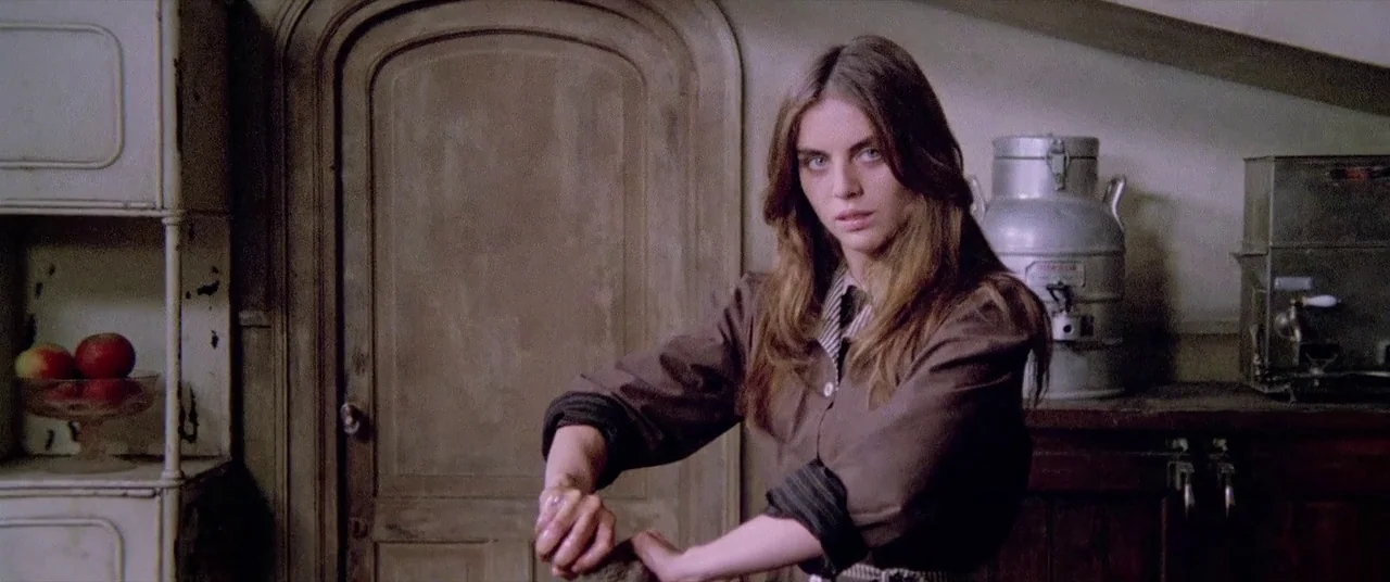 House By The Cemetery (1981) movie still: medium — A rustic interior with wooden walls and vintage kitchen equipment. A young woman washes a piece…