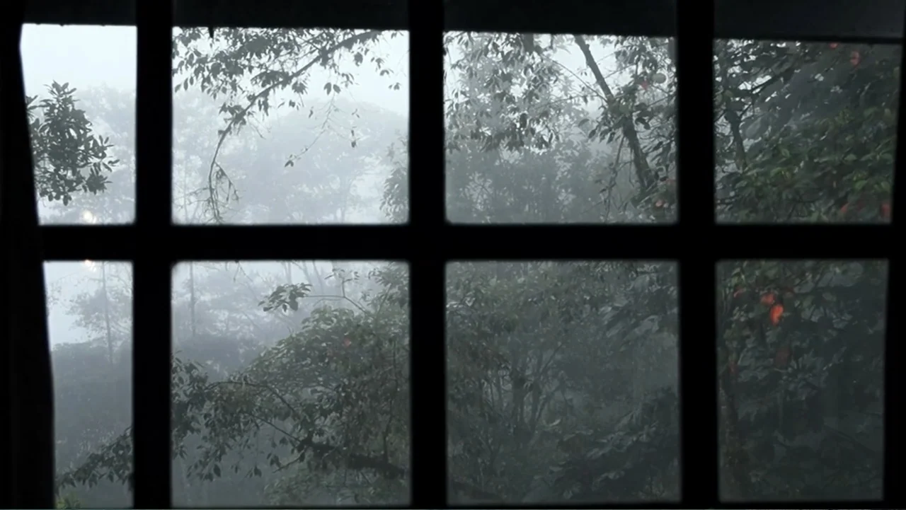 El Duende Sátiro (2016) movie still: establishing — A view through a wooden window frame looking out into a misty forest. Dense trees and foliage…