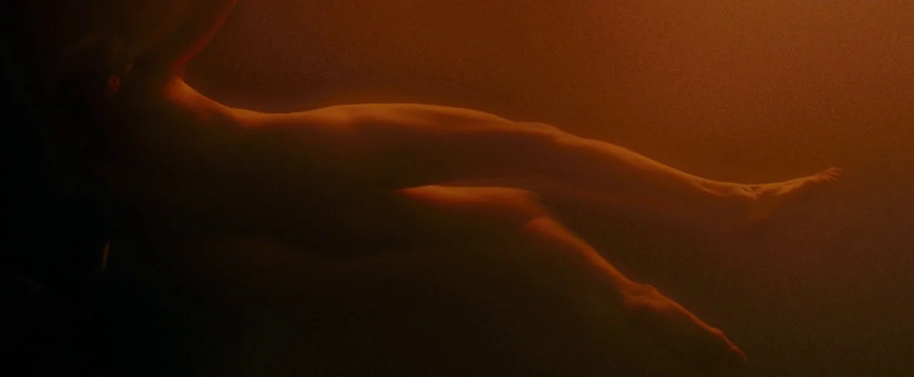 A Single Man (2009) movie still: fullbody — A person floats horizontally in a dark, liquid-filled environment colored in deep amber tones. The…
