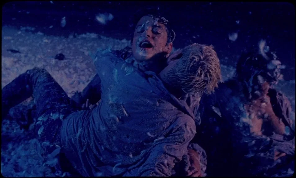The Wild Boys (2017) movie still: medium — Two individuals are huddled together on a dark sandy surface at night. White feathers fill the air around…