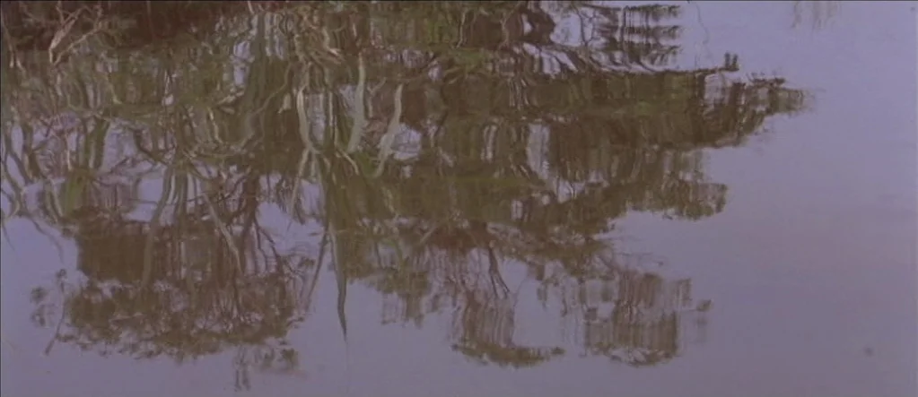 White Material (2009) movie still: establishing — A body of water shows reflections of overhanging trees and reeds. The water surface is disturbed…