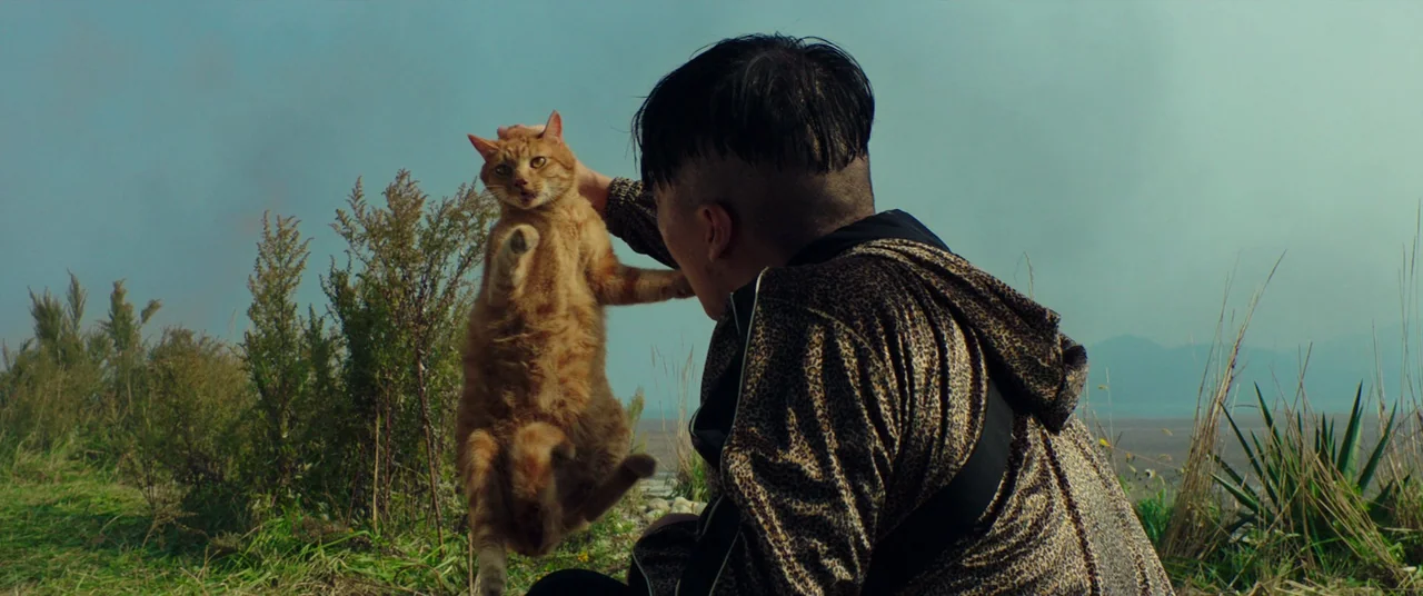 Beasts Clawing At Straws (2020) movie still: medium — A grassy coastal cliffside overlooks a distant grey ocean under a hazy sky. A young man…