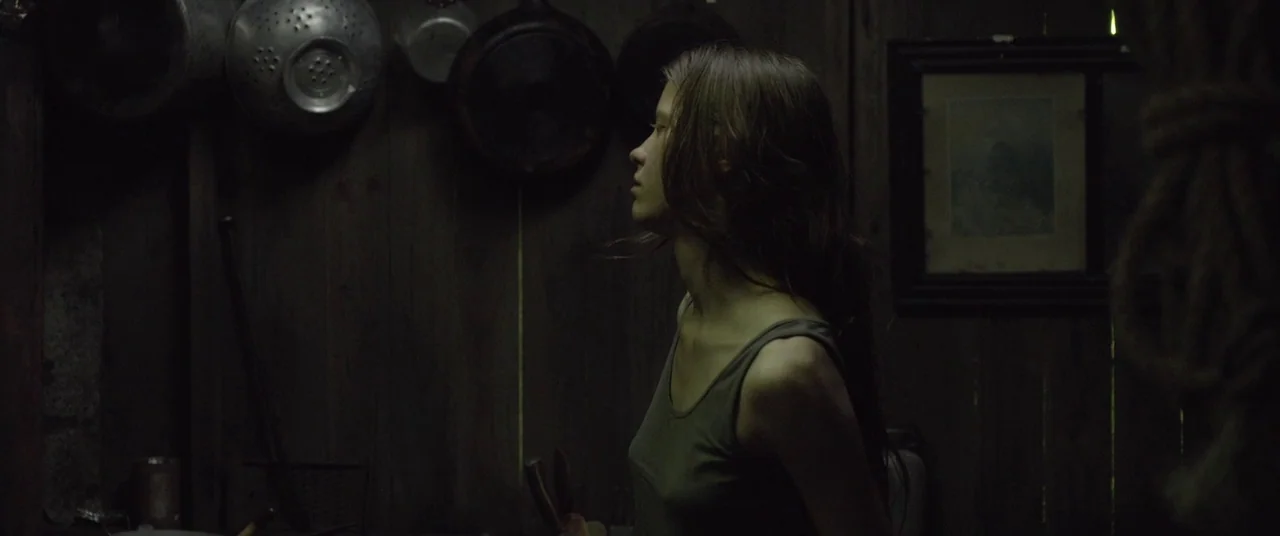 The Survivalist (2015) movie still: medium — A dimly lit room with dark wooden paneling decorated with hanging kitchen utensils and art. A young…