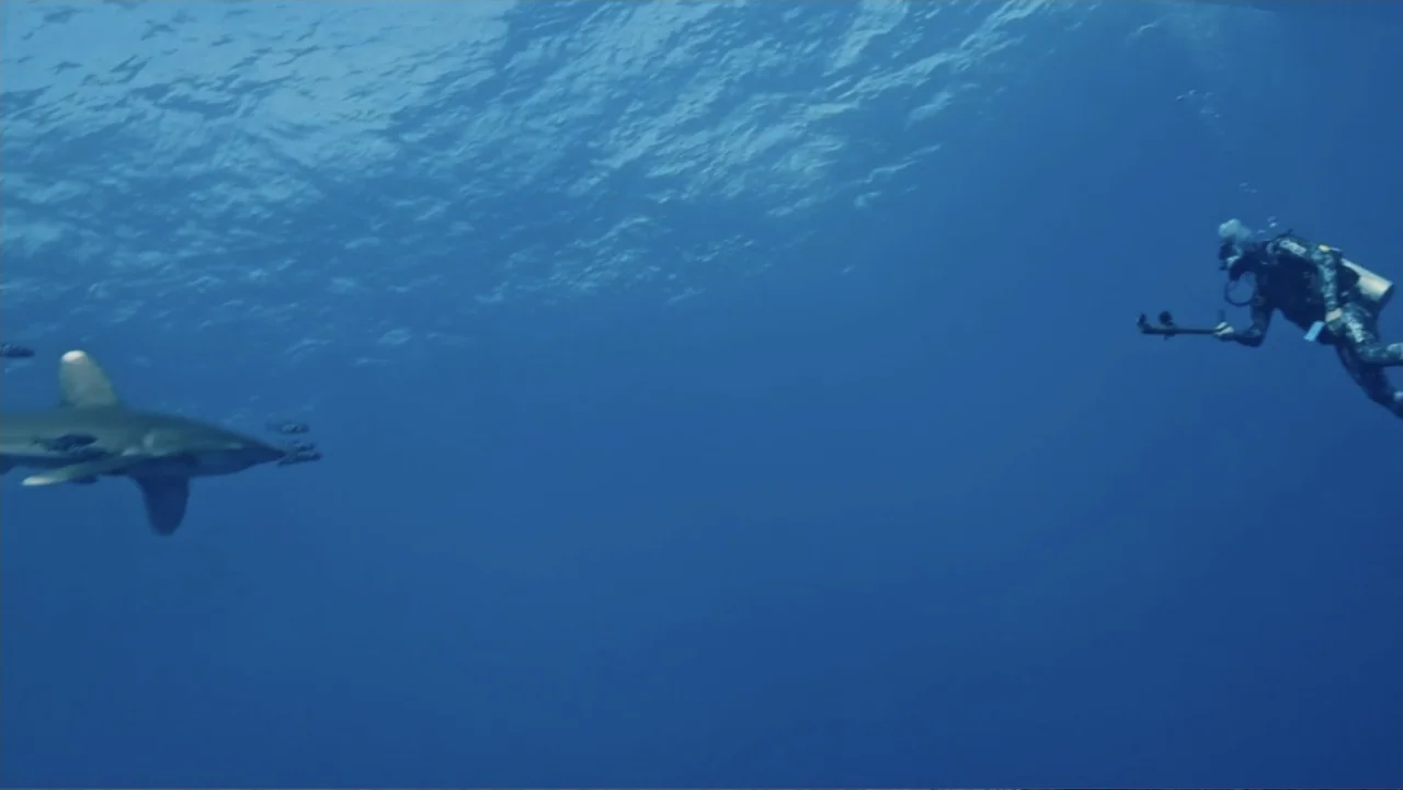 Serial Killer: Red Sea Attacks (2023) movie still: wide — A vast expanse of deep blue open water beneath the surface of the sea. A scuba diver with…