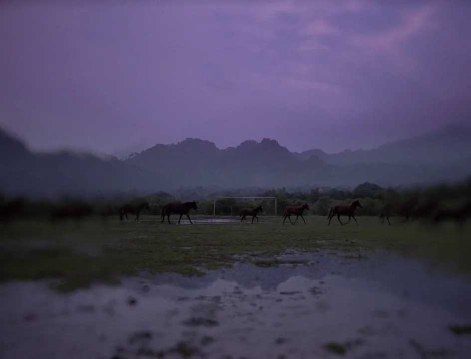 Post Tenebras Lux (2012) movie still: wide — A dark, misty, and wet field at twilight features distant mountains and a soccer goal. Multiple horses…