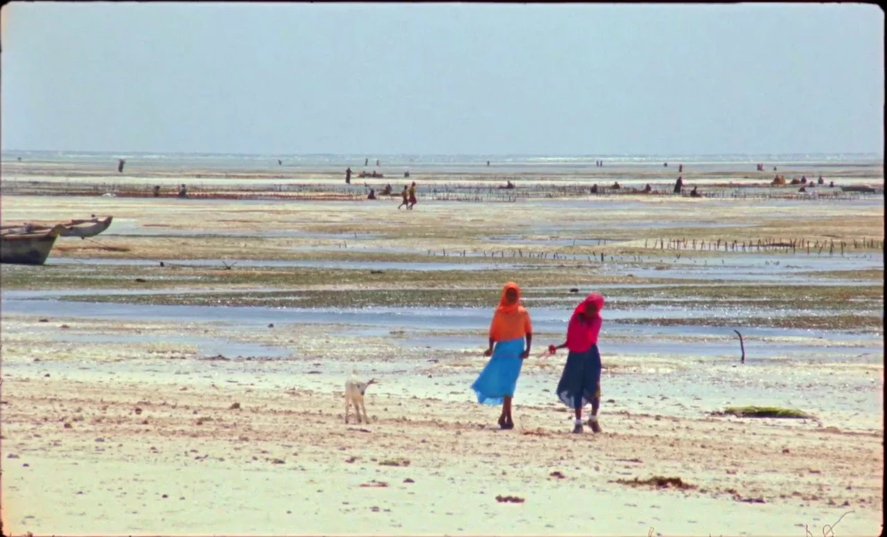 Samsara (2023) movie still: wide — A vast, shallow tidal flat stretches toward a hazy, distant horizon under bright sunlight. Two women walk across…