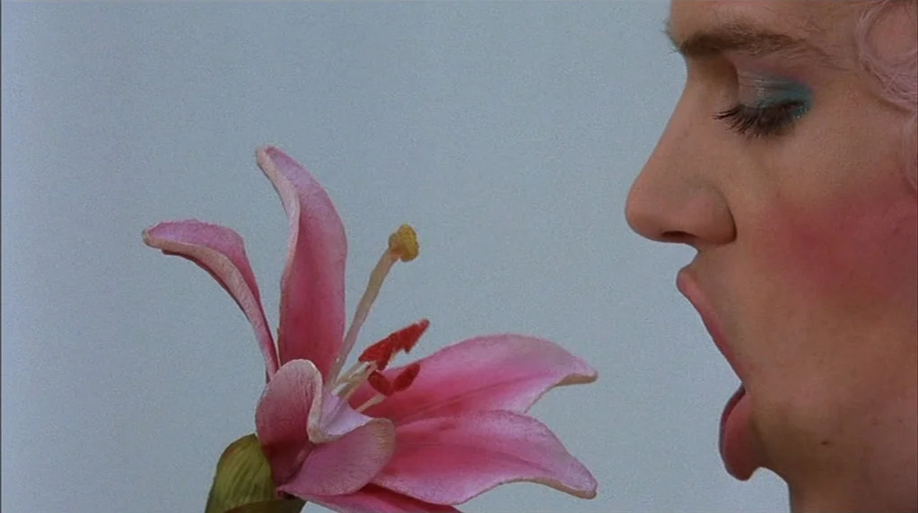 Velvet Goldmine (1998) movie still: closeup — A person with elaborate makeup is positioned in profile next to a single pink lily. The background is…