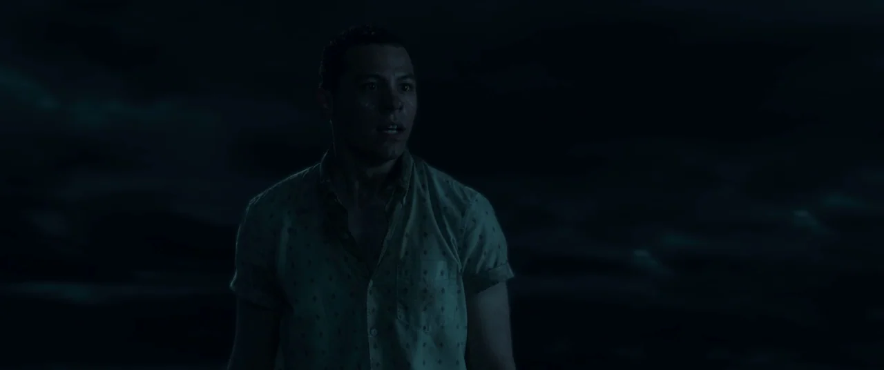 In The Tall Grass (2019) movie still: medium — A man stands in a dark, indistinct exterior space under dim nocturnal illumination. He turns his head…