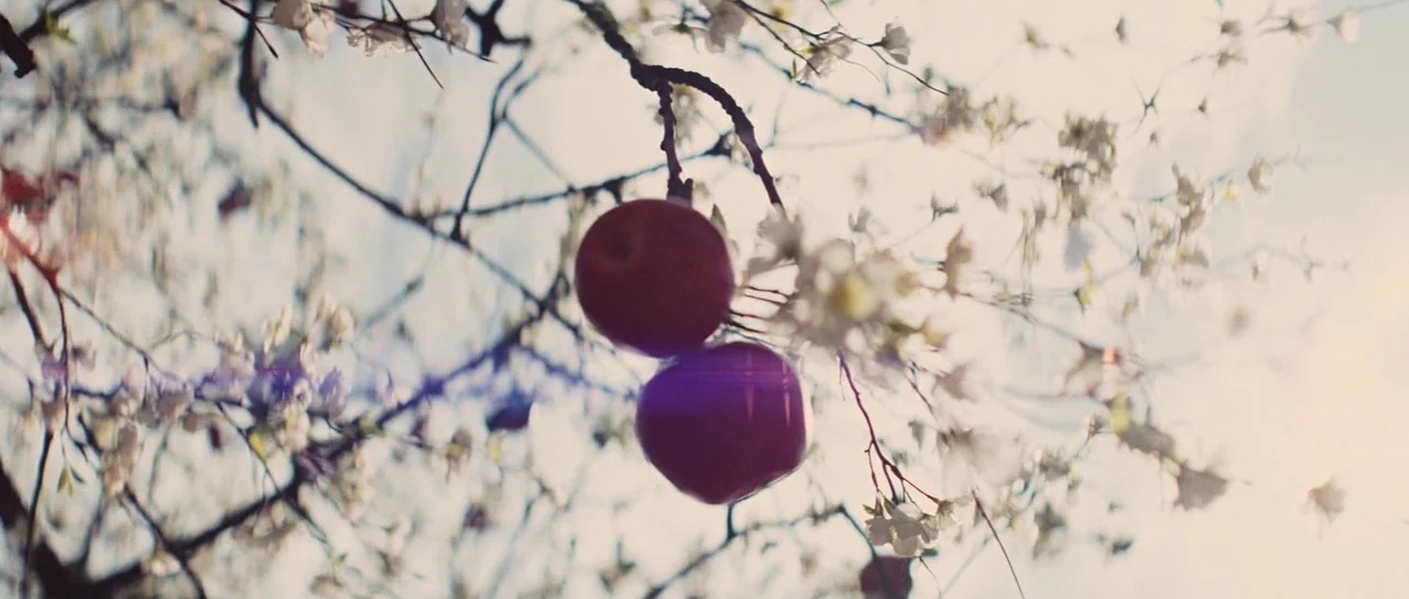 Snow White and The Huntsman (2012) movie still: closeup — A blooming tree with white flowers against a bright, hazy sky. Two ripe apples hang from a…