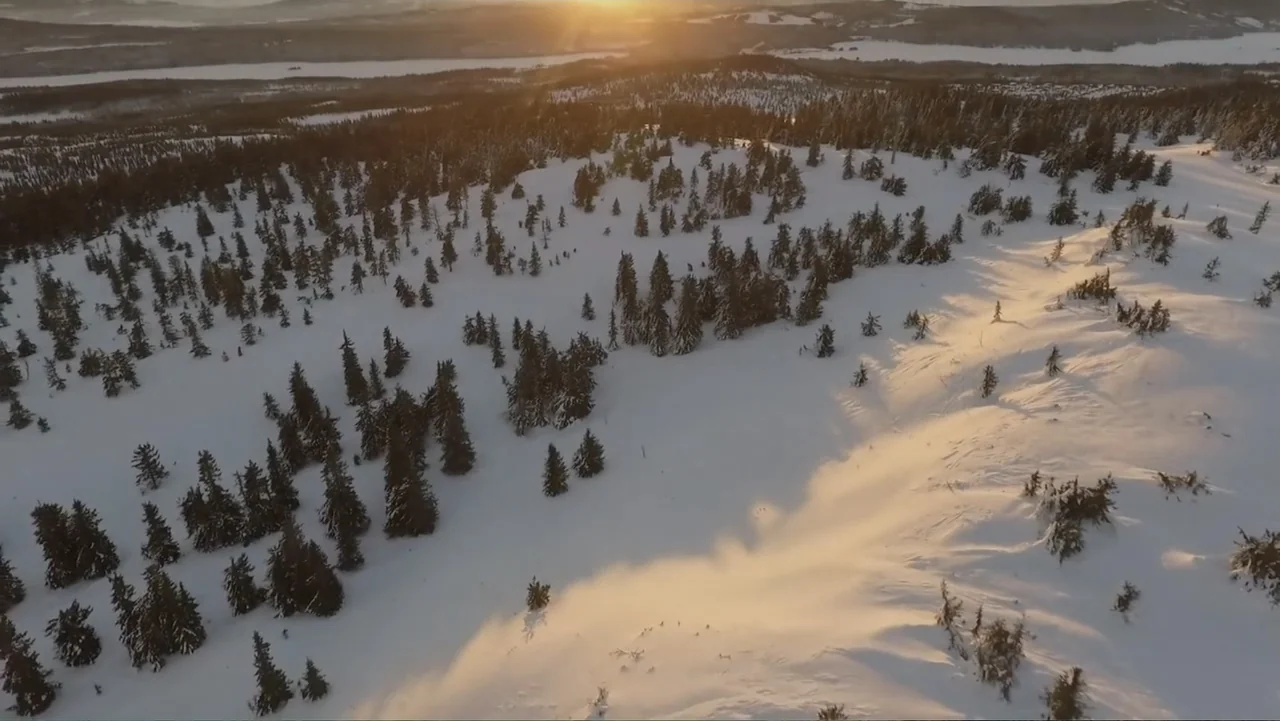 Alex & Emma (2003) movie still: establishing — A vast mountain slope covered in deep snow is dotted with evergreen pine trees. The low sun…