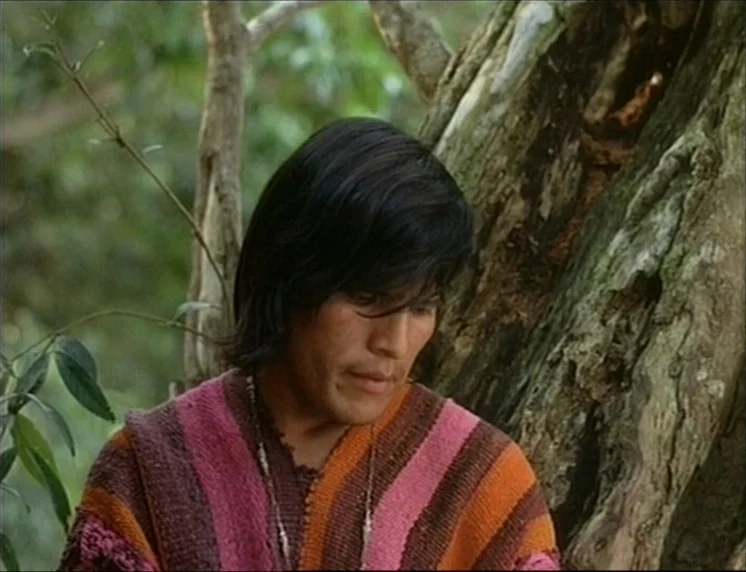 Aguirre, The Wrath Of God (Aguirre, der Zorn Gottes) (1972) movie still: medium — A man stands in a forest with dense foliage and large tree trunks…