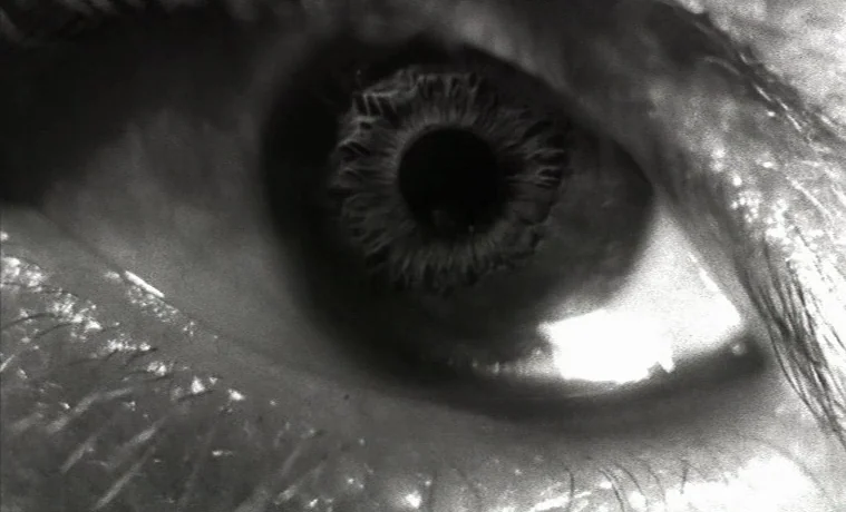 The Garden (1990) movie still: closeup — A extreme close-up shot of a human eye. The iris fibers and pupil are visible in high detail.