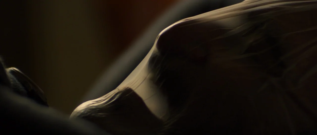 You Were Never Really Here (2017) movie still: closeup — A dark, dimly lit interior space contains a person partially shrouded in translucent…
