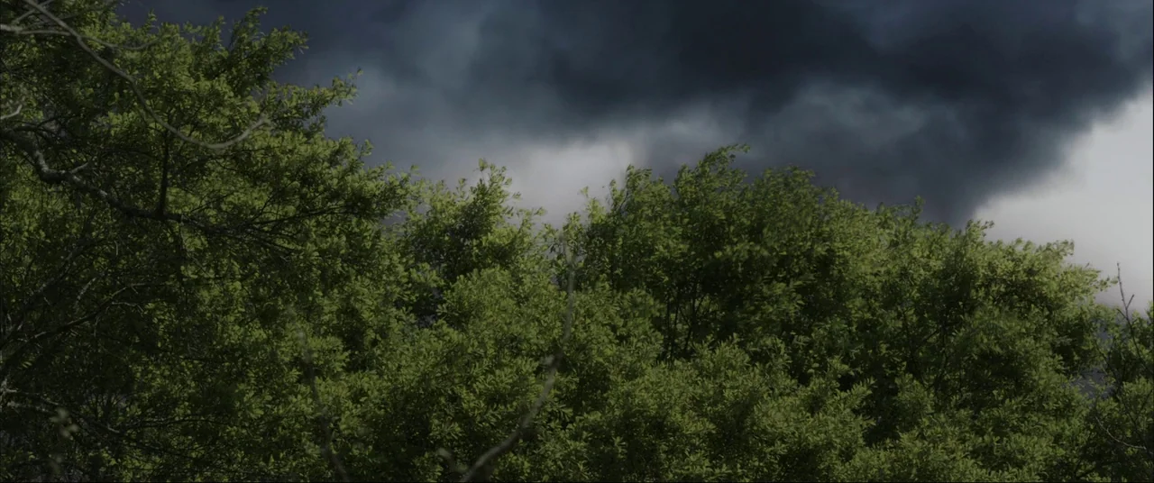 The Conjuring (2013) movie still: establishing — Dense, vibrant green tree branches fill the bottom half of the frame. A thick, dark, storm-laden…
