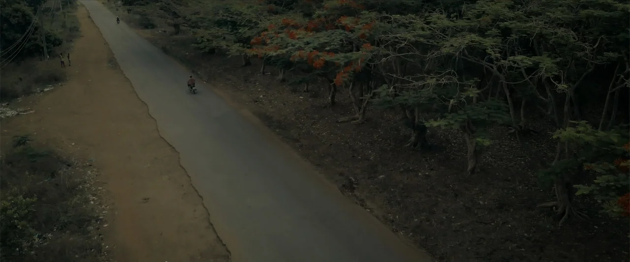 Ms. Kanyin (2025) movie still: wide — A narrow paved road cuts through a sparse landscape with trees and reddish flowers. A single person drives a…
