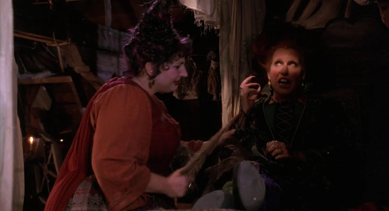 Hocus Pocus (1993) movie still: medium — A cluttered, dimly lit attic filled with hanging fabrics and wooden structural beams. Two women in…