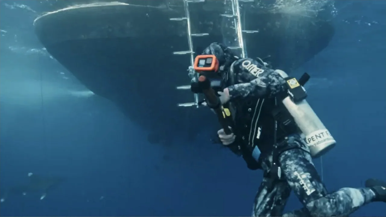 Serial Killer: Red Sea Attacks (2023) movie still: medium — A scuba diver approaches a metal ladder hanging from the underside of a large ship. The…
