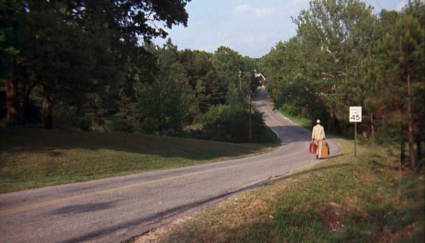 Cockfighter (1974) movie still: wide — A rural asphalt road curves through a dense forest under a clear sky. A lone man in a suit walks along the…