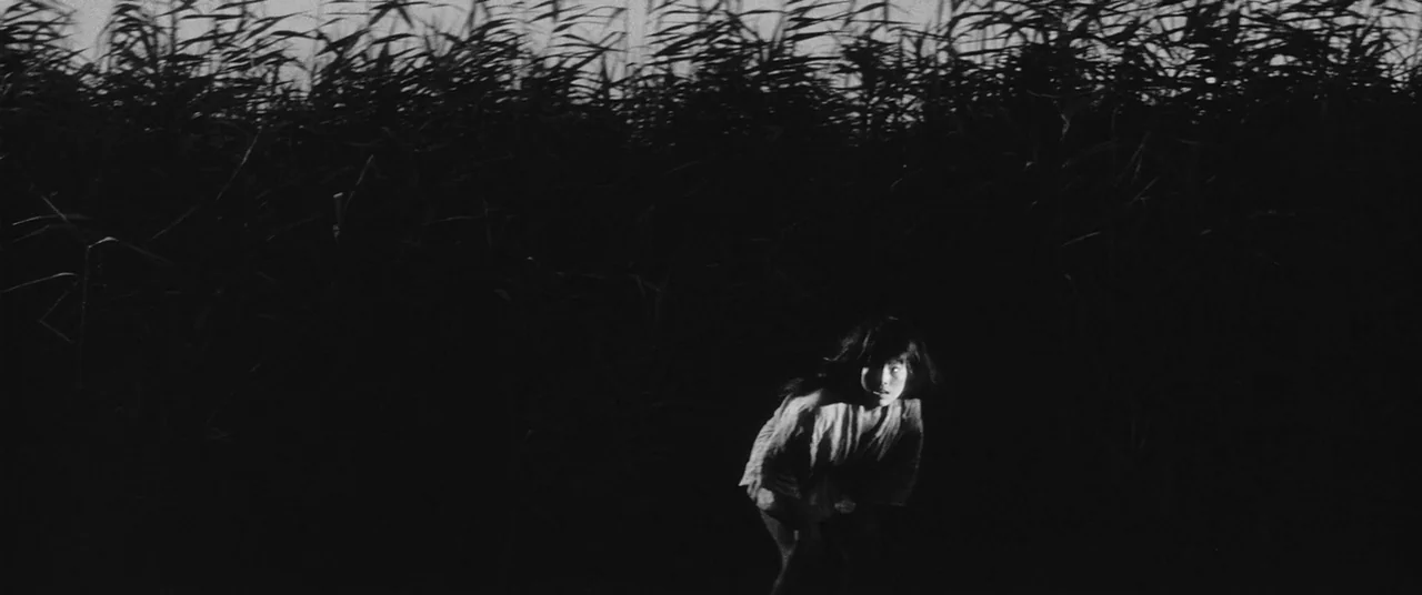 Onibaba (1964) movie still: wide — A dark field is densely packed with tall, swaying reeds that create a dark barrier. A young girl crouches low…