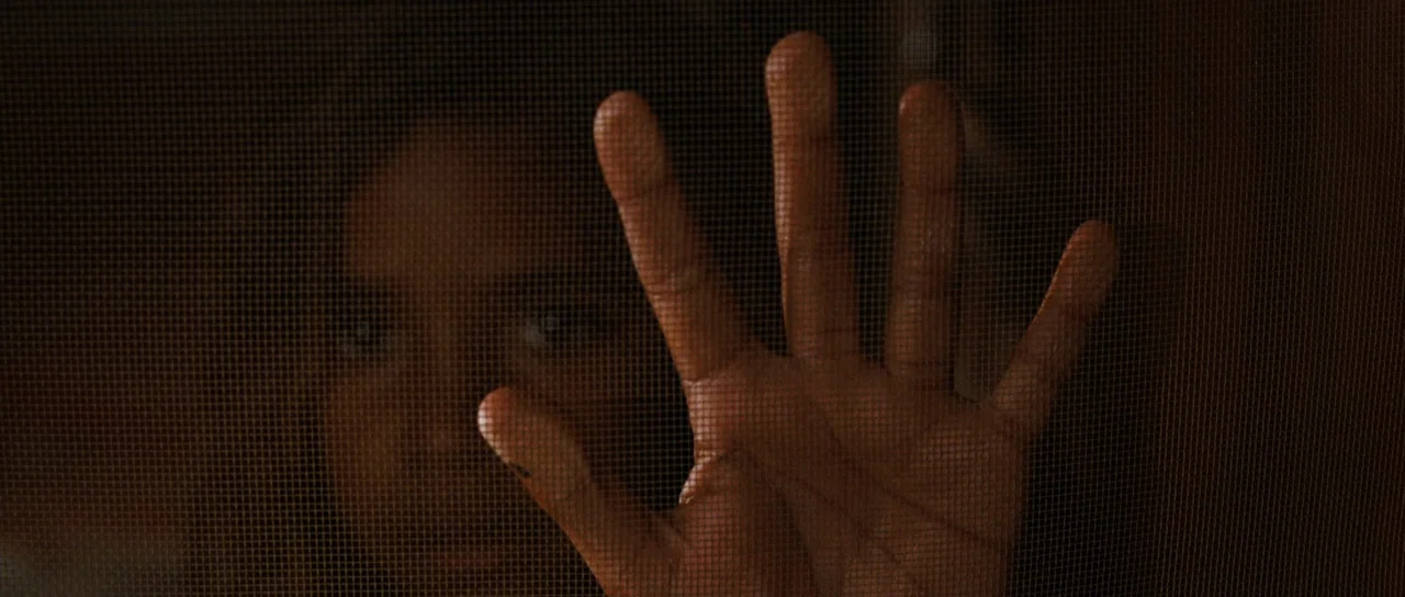 Australia (2008) movie still: closeup — A fine-mesh metal screen obscures a person looking out from behind it. A single hand is pressed flat against…