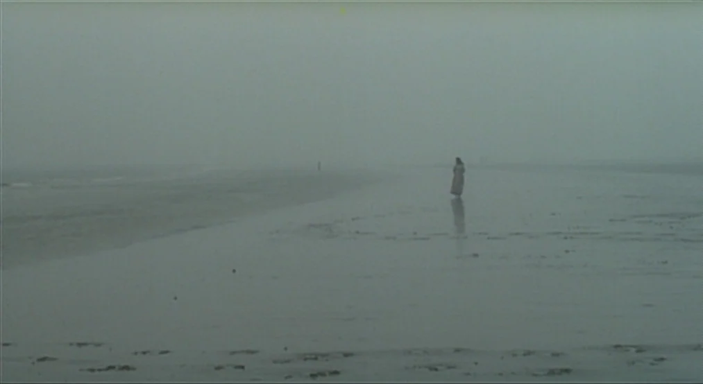 Nosferatu the Vampyre (Nosferatu Phantom Der Nacht) (1979) movie still: wide — A vast, flat expanse of a grey sandy beach is shrouded in heavy fog.…
