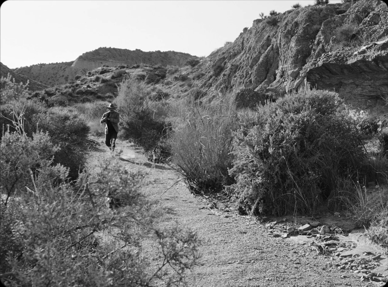 Eureka (2024) movie still: wide — An arid desert canyon landscape featuring dense desert brush and rocky cliff formations. A lone man wearing a hat…