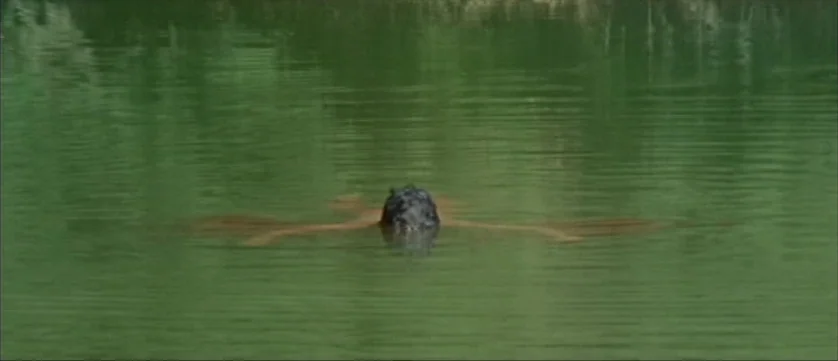 Django Kill (1967) movie still: wide — A dark, rounded shape rests at the surface of a calm, murky green lake. The object remains still with faint…