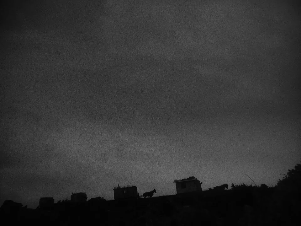 Sawdust and Tinsel (1953) movie still: wide — A line of horse-drawn wagons travels along the crest of a dark ridge. The low-angle perspective frames…