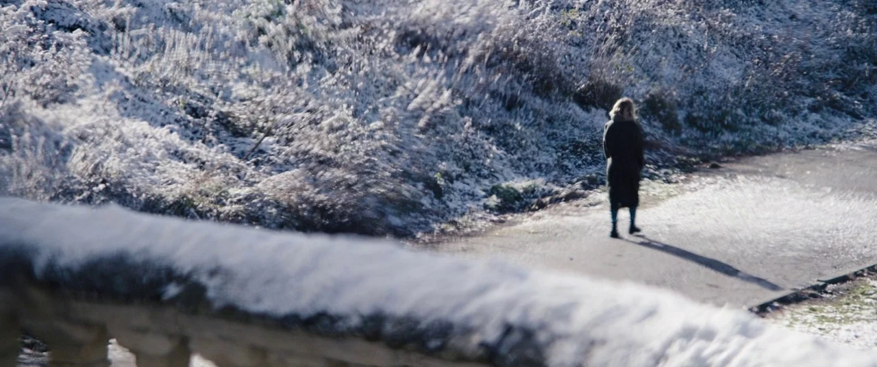Black Christmas (2006) movie still: wide — A snow-covered pathway is lined with frosted vegetation and a stone-topped railing. A woman in a dark…