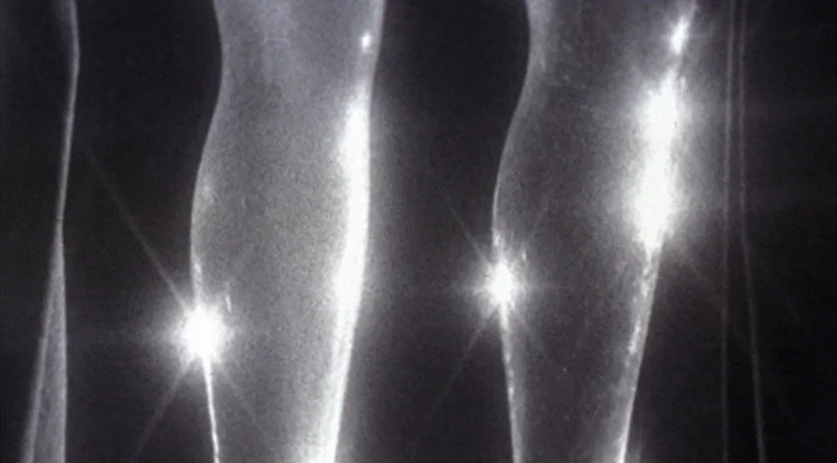 The Saddest Music in the World (2003) movie still: closeup — A dark, void-like space features the lower calves of multiple people standing in row.…