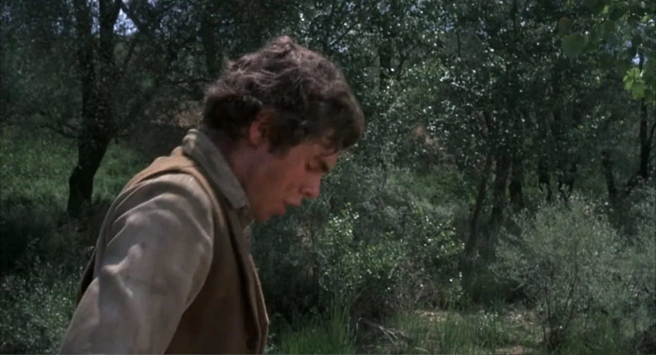 The Spikes Gang (1974) movie still: medium — A dense olive grove with tangled branches and dappled light hitting the ground. A young man wearing a…