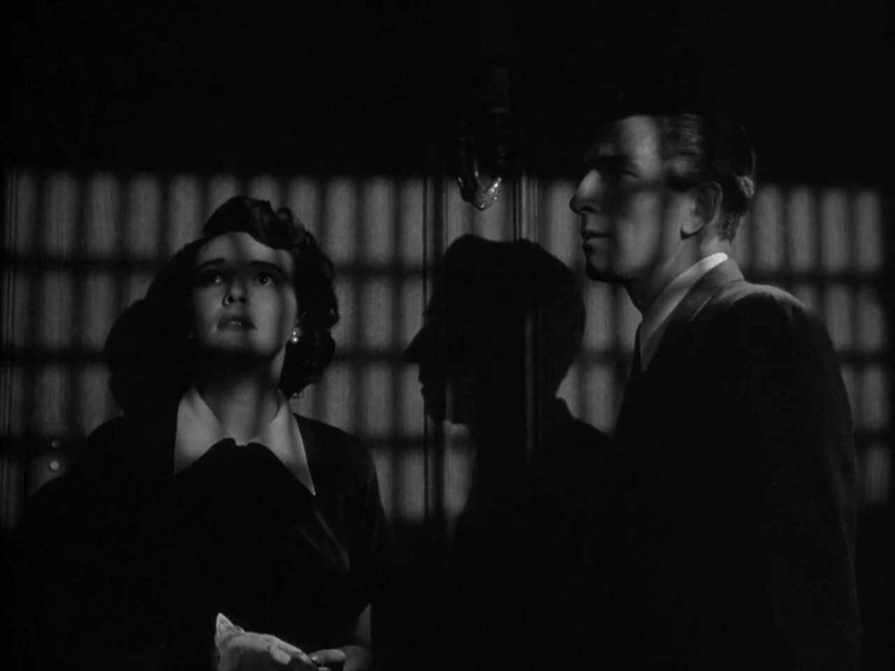 The Day the Earth Stood Still (1951) movie still: medium — A dark indoor setting features heavy shadow patterns cast by a window treatment. A man…