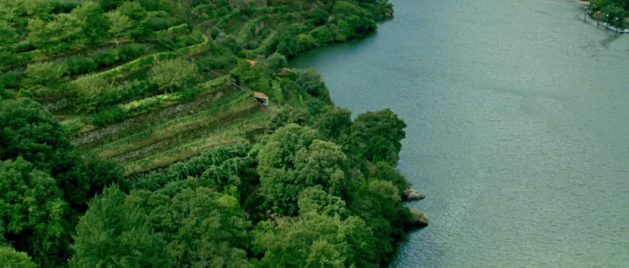 Arabian Nights: Volume 1 – The Restless One (2015) movie still: establishing — A steeply terraced hillside covered in lush green vegetation descends…