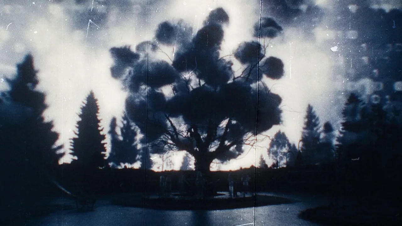 Once Within A Time (2022) movie still: wide — A dark outdoor space features a large tree standing in front of a light. Silhouettes of trees and…