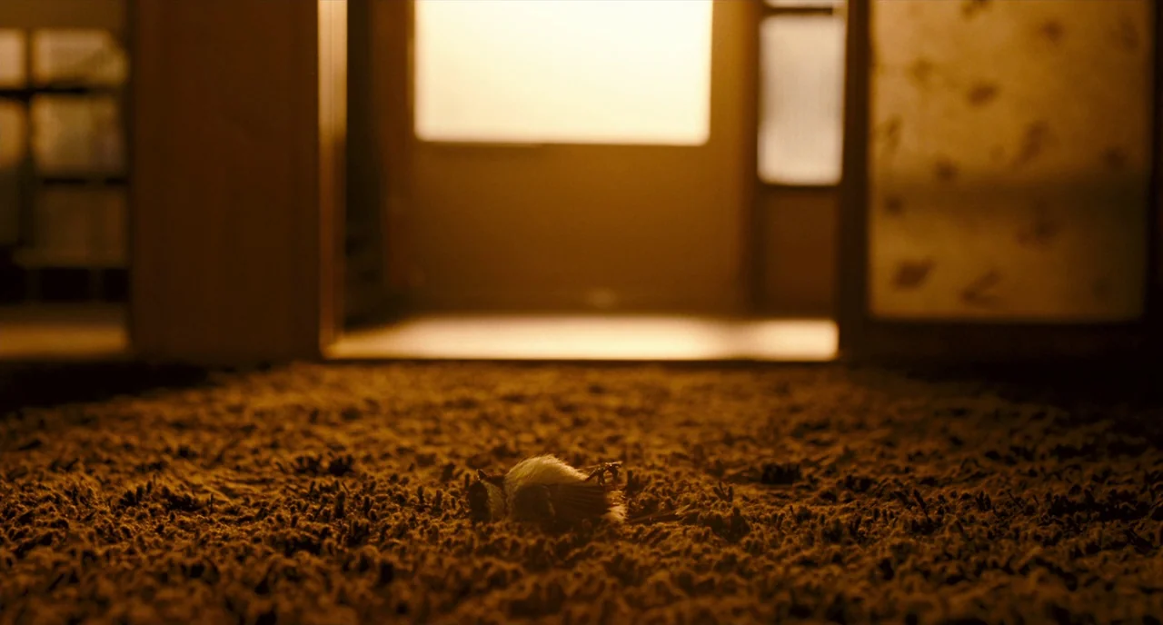 It’s Only The End Of The World (2016) movie still: closeup — A carpeted floor in a sunlit room features a small deceased bird resting centrally. The…