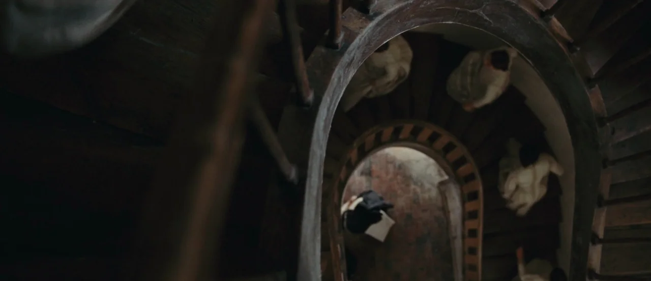 Madame Bovary movie still: wide — A dark wooden spiral staircase winds downward with multiple people climbing the steps. The figures wear long…