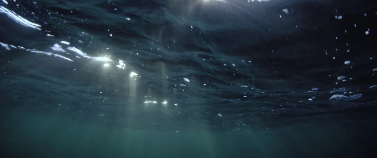 Sea Fever (2019) movie still: establishing — Underwater view looking up toward the surface of the dark ocean. Sunlight filters through the turbulent…