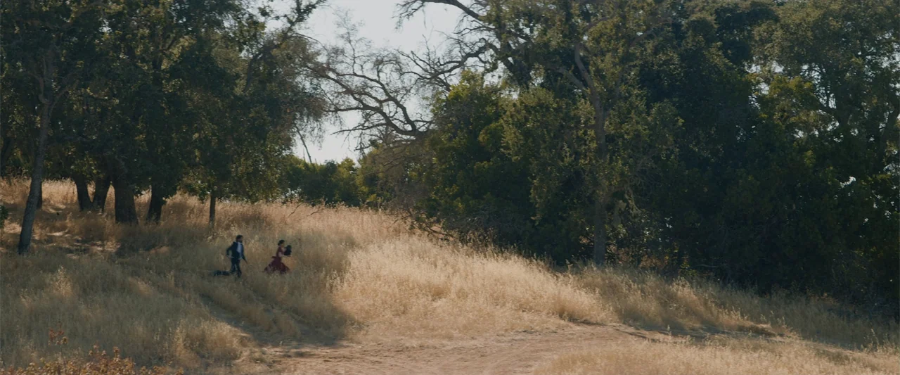 Destination Wedding (2018) movie still: wide — A dry hillside with scattered oak trees and tall golden grass during the day. A man and a woman in…