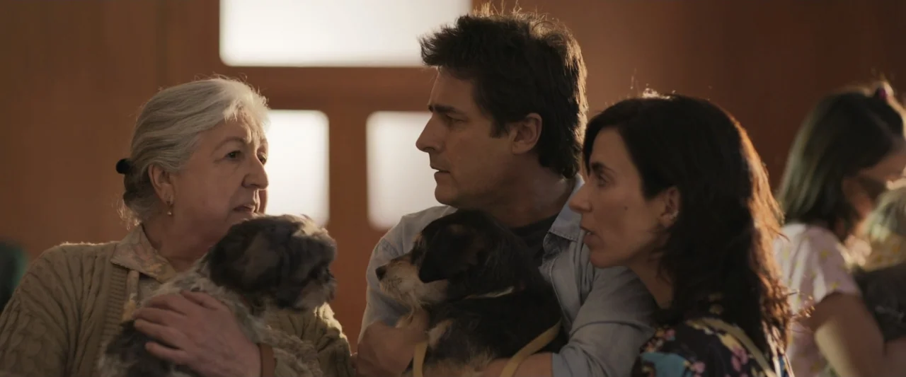 Dog Life (2024) movie still: medium — An interior clinic features a soft-lit background with large window frames. Three adults hold small dogs while…