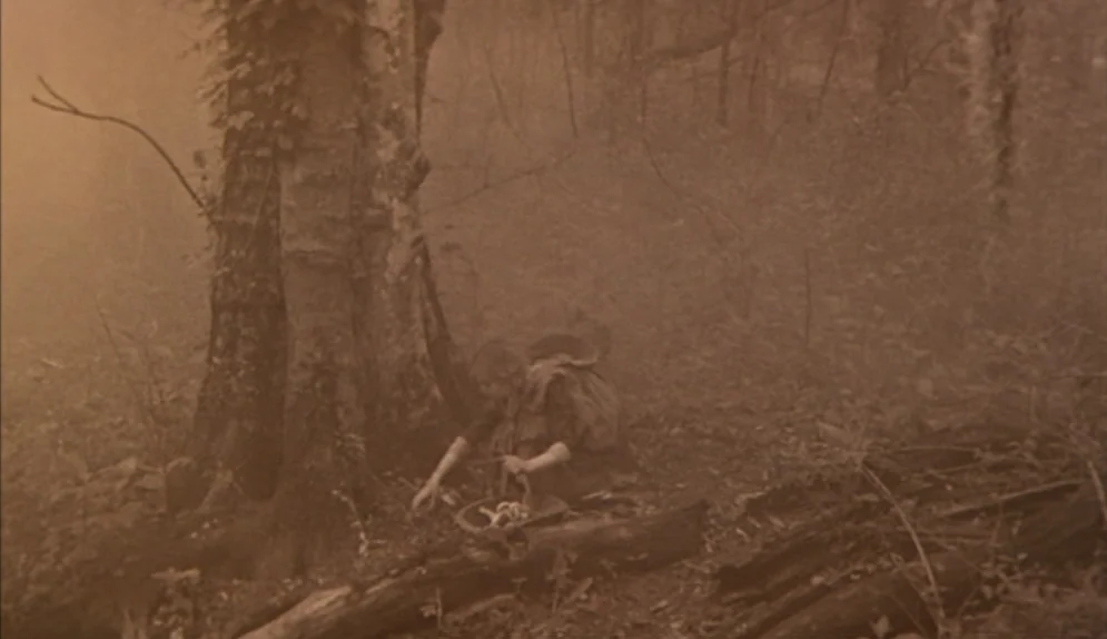 The Beguiled (1971) movie still: wide — A foggy, sepia-toned wooded area with a large, thick-barked tree in the foreground. A lone person kneels at…
