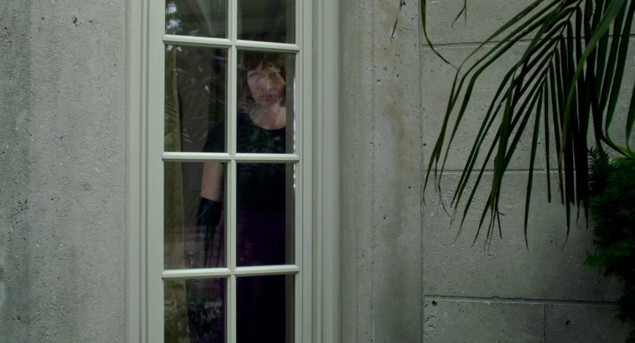 Maps to the Stars (2014) movie still: medium — A woman stands behind a multi-pane glass door set into a concrete exterior wall. A palm leaf hangs in…
