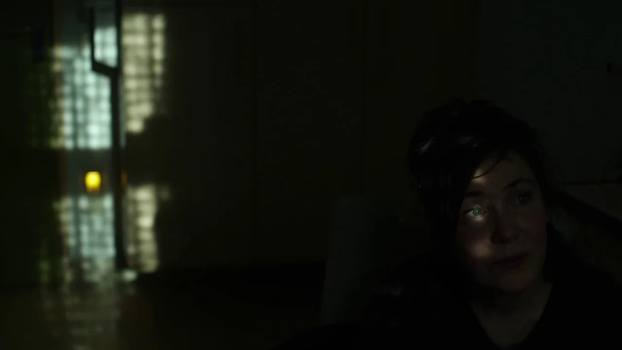 Museum Hours (2012) movie still: closeup — A darkened interior space features a bright, patterned shadow cast onto the floor. A woman's face is…