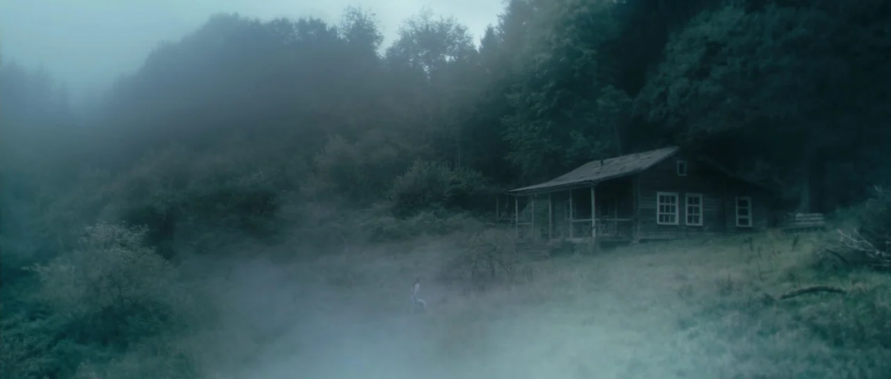 Antichrist (2009) movie still: wide — A rustic wooden cabin sits on a hillside surrounded by a dense, misty forest. A young child walks slowly…