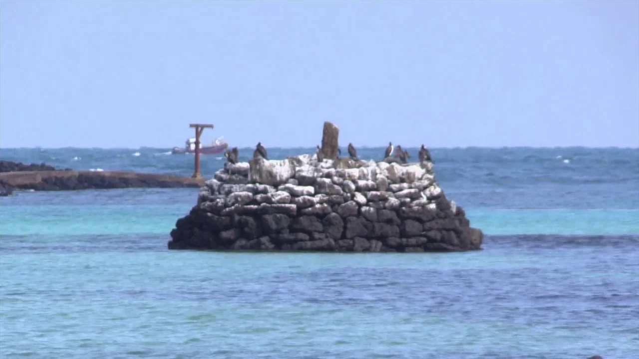 In Water (2023) movie still: wide — A small cluster of dark volcanic rocks protrudes from the turquoise ocean water. Several birds rest on top of…