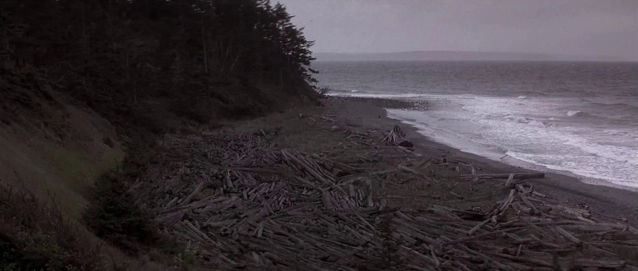 Snow Falling on Cedars (1999) movie still: wide — A rugged beach covered in piles of driftwood sits beside a dark coniferous forest. Ocean waves…
