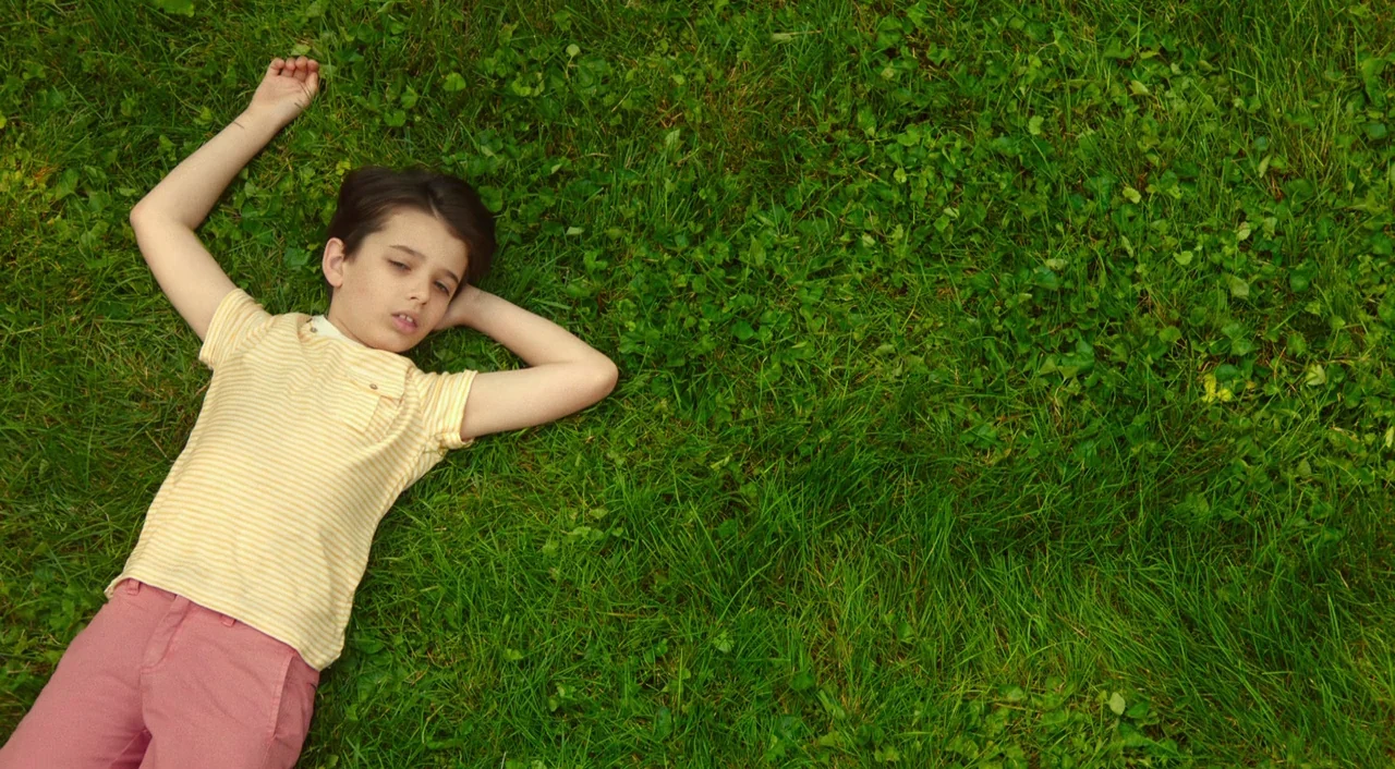 Wiener-Dog (2016) movie still: wide — A dense patch of short, vibrant green grass covers the ground completely. A young boy lies on his back with…