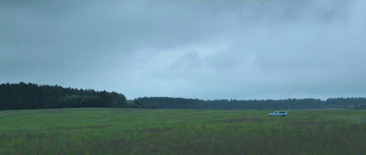 The Voices (2014) movie still: establishing — A vast, grassy meadow stretches toward a dense treeline under a heavy, overcast sky. A single light…