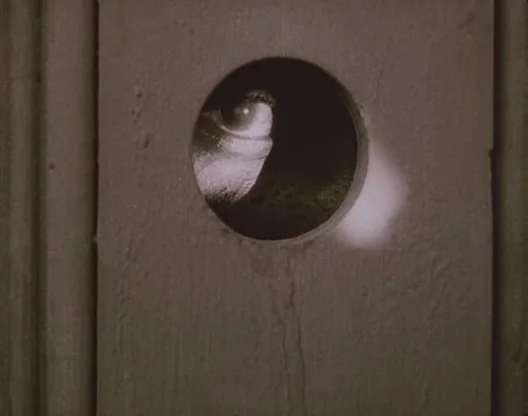 Birth of a Nation (1915) movie still: closeup — A wooden door features a circular hole used for looking into another space. A human eye stares…